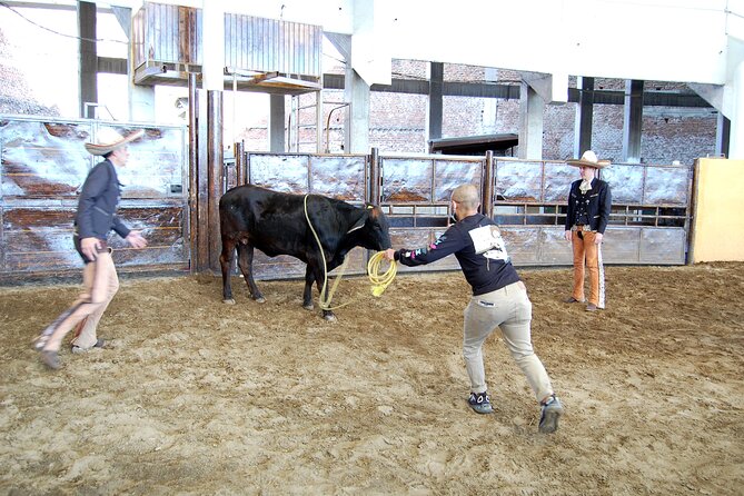 Charreria Heritage Tour Be a Charro for a Day - Traditional Charreria Activities