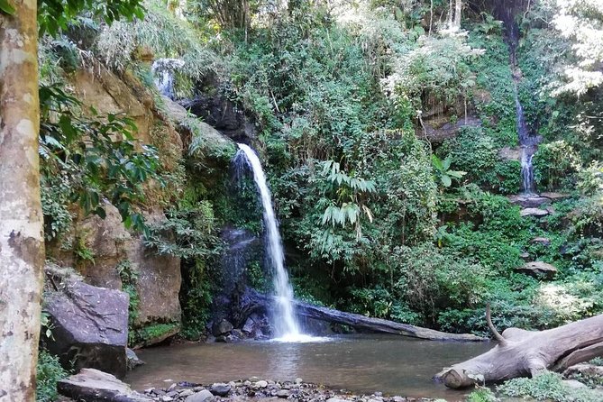 Chiang Mai - Trekking - Monks Trail Wat Palad & Wat Pratat Doi Suthep - Important Tips