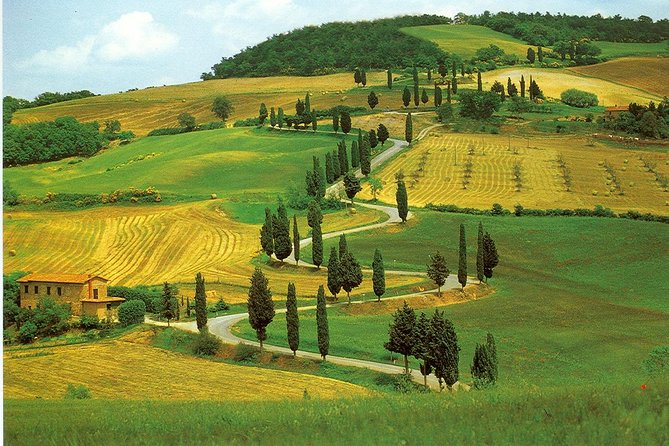 Chianti From Florence:Private Wine, Olive Oil Tasting in the Tuscan Countryside - Group Experience