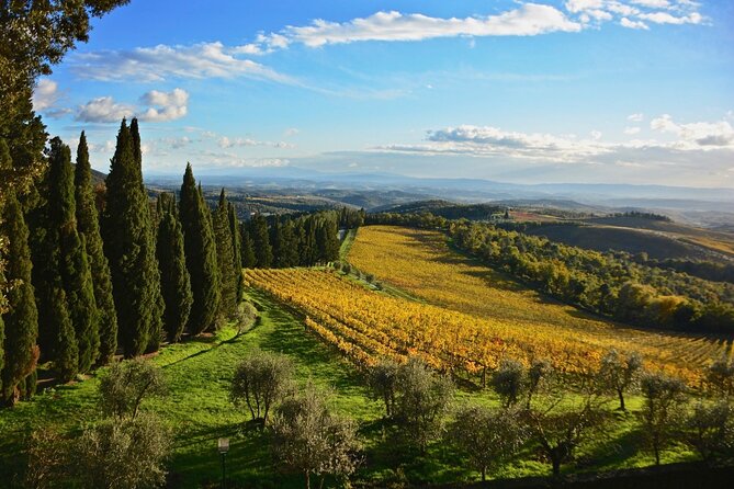 Chianti & Supertuscan Private Tour 2 Wineries With Light Lunch - Additional Tour Information