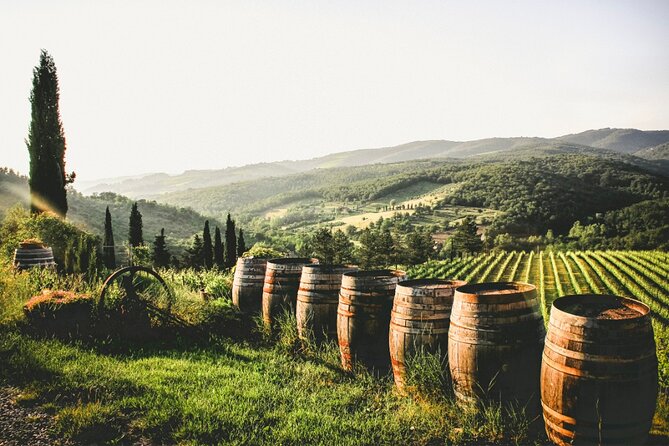 Chianti Wine Tour From Florence to San Gimignano With 2 Wineries - Winery Visits