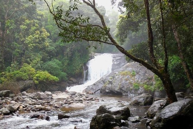 Chinnar Wild-life Visiting Tour (Eravikulam National Park) - Common questions