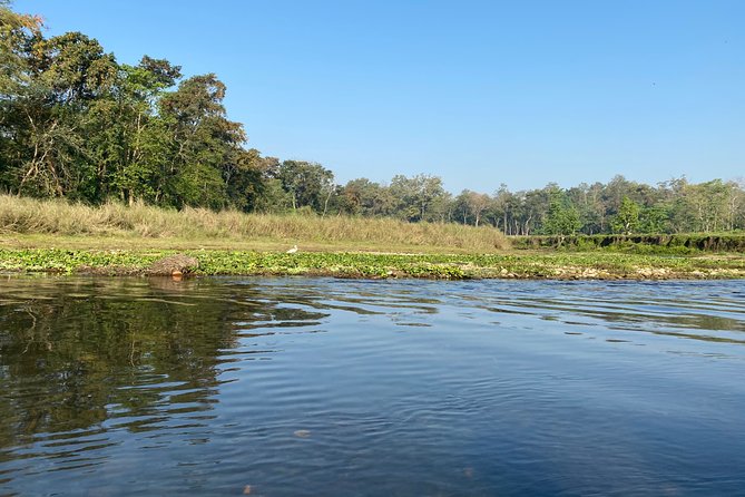 Chitwan Jungle Safari Tour - Additional Information