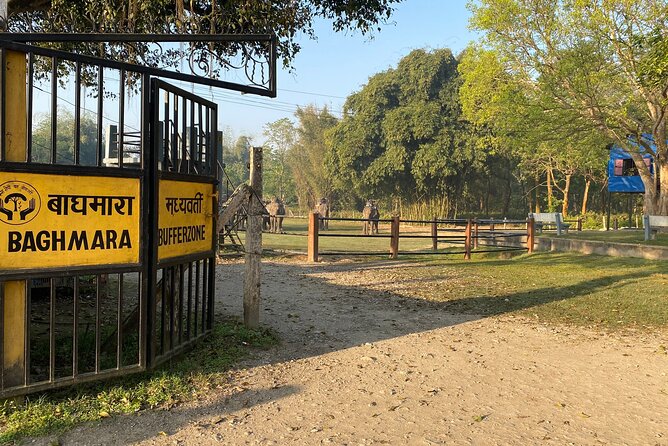 Chitwan Safari for 2 Nights 3 Days - Accommodation Options and Amenities