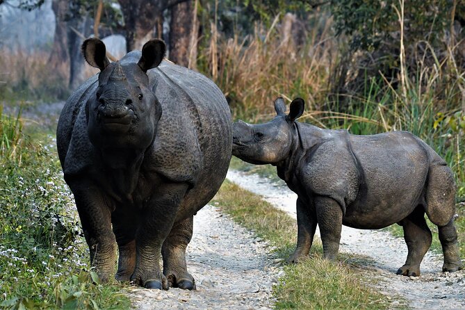 Chitwan Tour Packages - Pricing Details and Terms