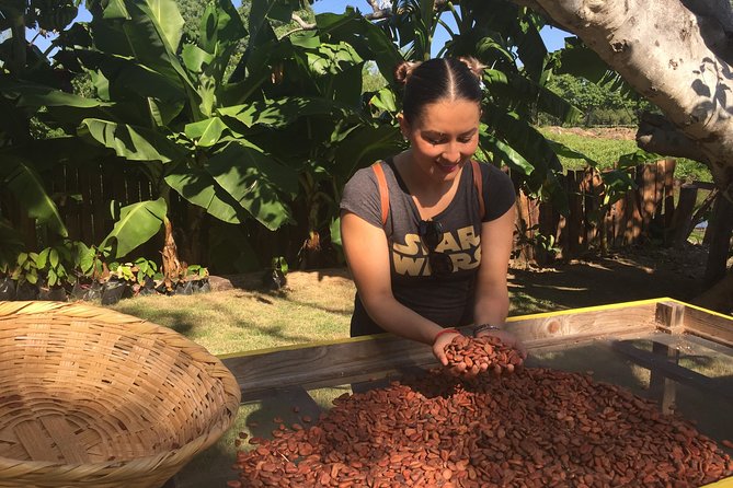 Chocolate Tour in Vallarta - Hands-On Chocolate Making
