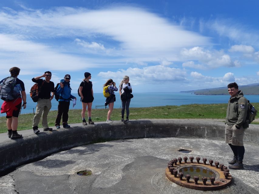 Christchurch: Godley Head & Lyttelton Guided Walking Tour - Itinerary Overview