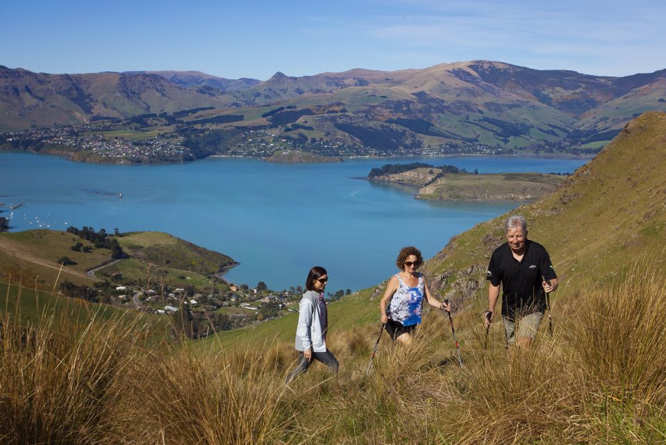 Christchurch: Guided Crater Rim Walk With Picnic - Inclusions