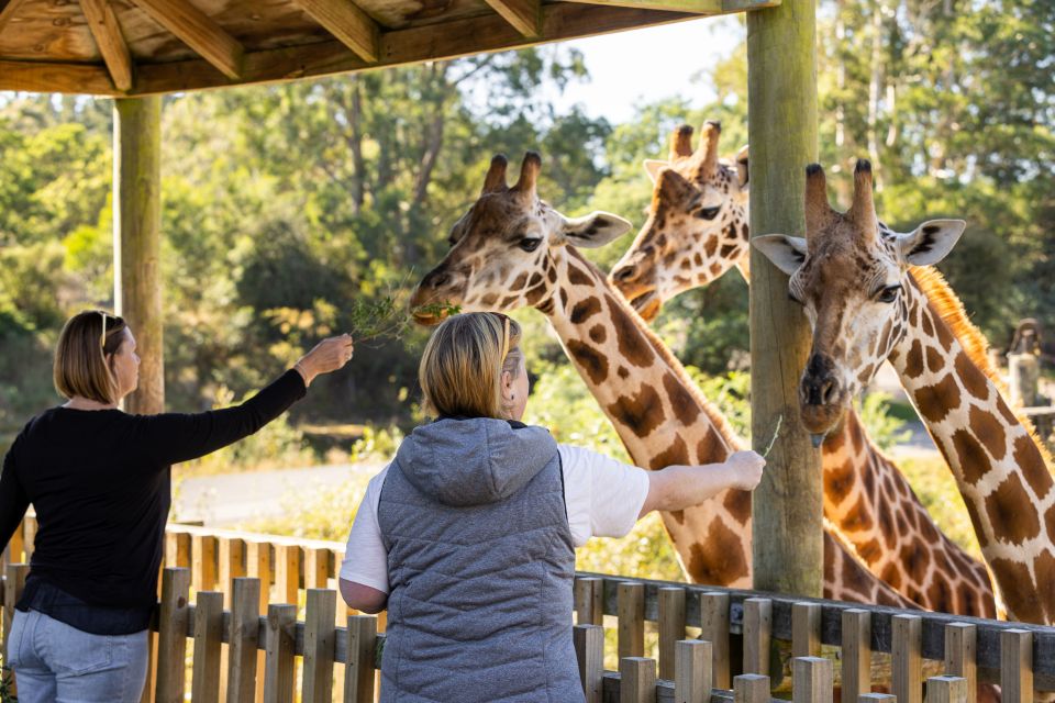 Christchurch: Orana Wildlife Park Admission - Booking Flexibility