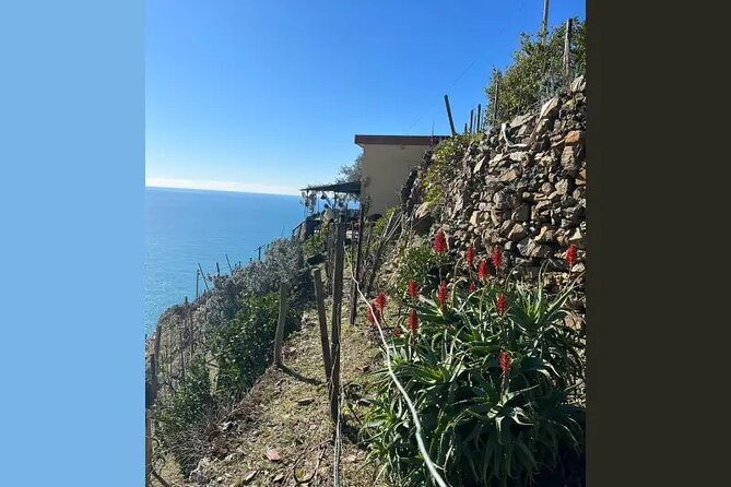 Cinque Terre: Pesto Cooking Class With Sea View in Riomaggiore - Customer Reviews and Ratings