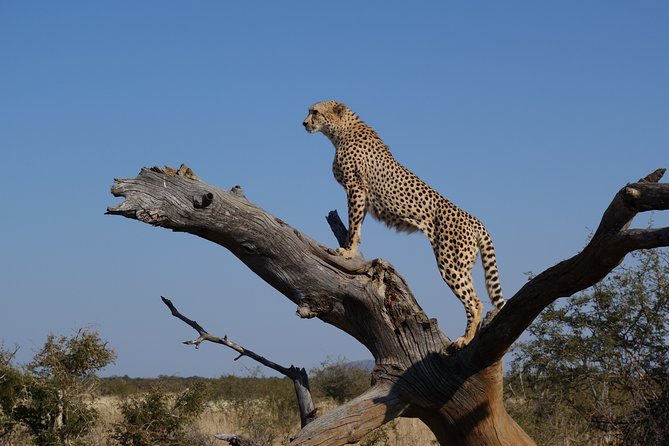 Classic Kruger National Park - Booking Information