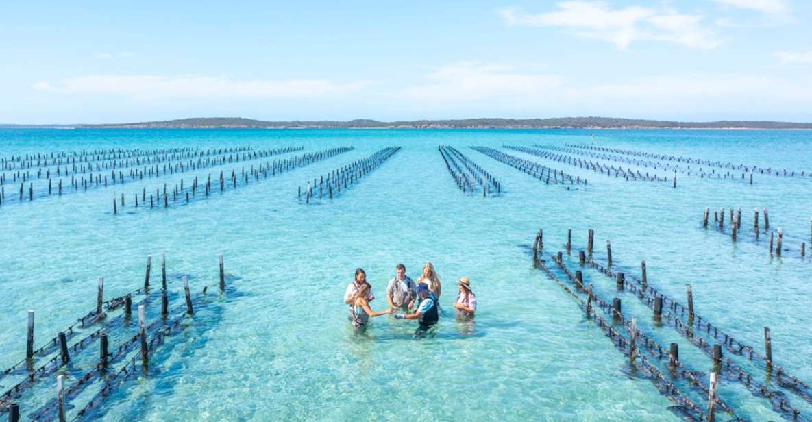 Coffin Bay: Oyster Farm Boat Tour With Wading & 12 Oysters - Experience Description