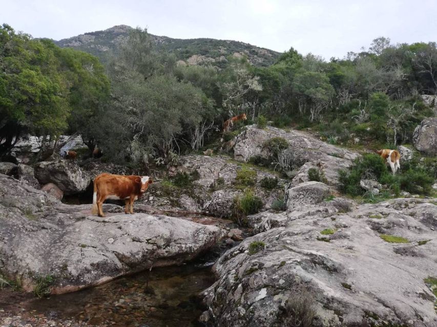 Complete Corsica - Biosphere Reserve Exploration
