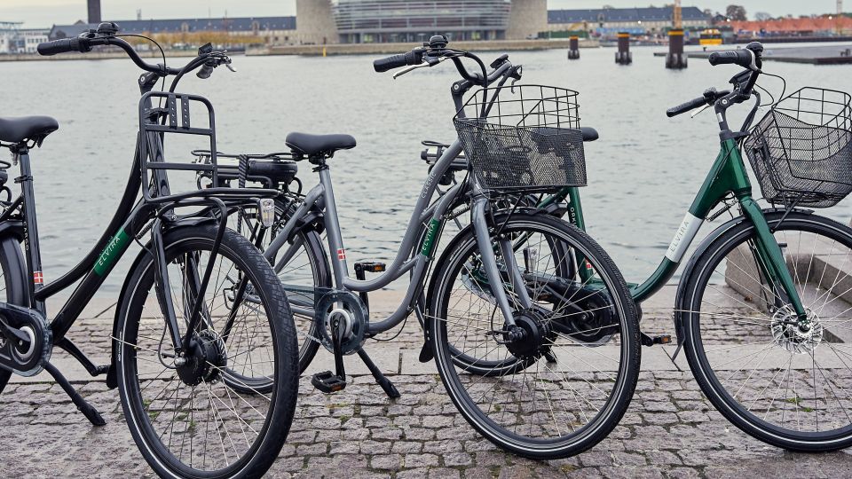 Copenhagen: Guided E-Bike Tour - Full Tour Description