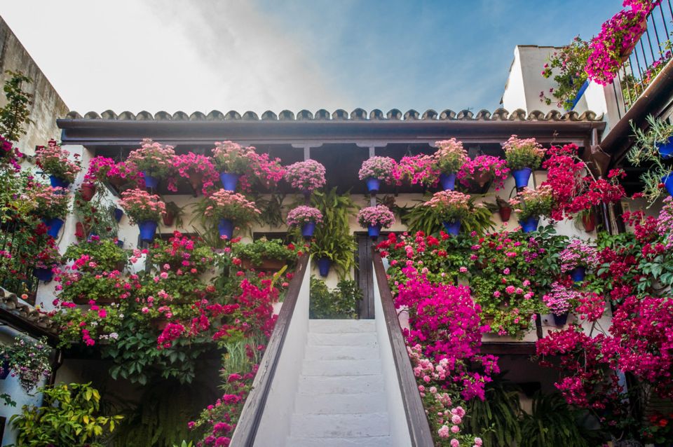 Córdoba: Guided Tour of the Patios - Inclusions