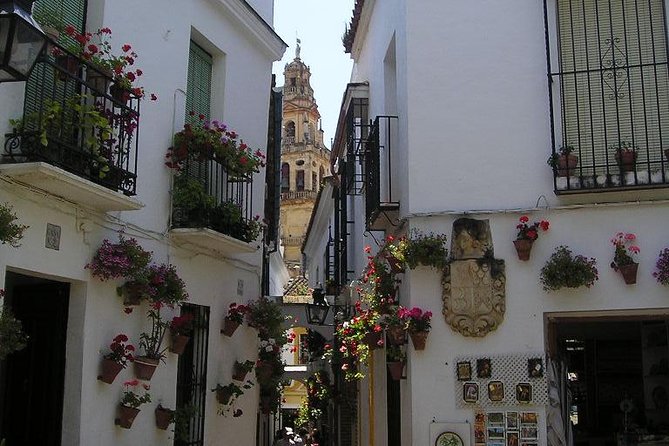 Córdoba Private Guided Day Tour From Madrid in Fast Train - Guide Insights