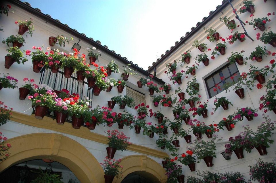 Cordoba Private Guided Walking Tour - Cultural Highlights and Significance