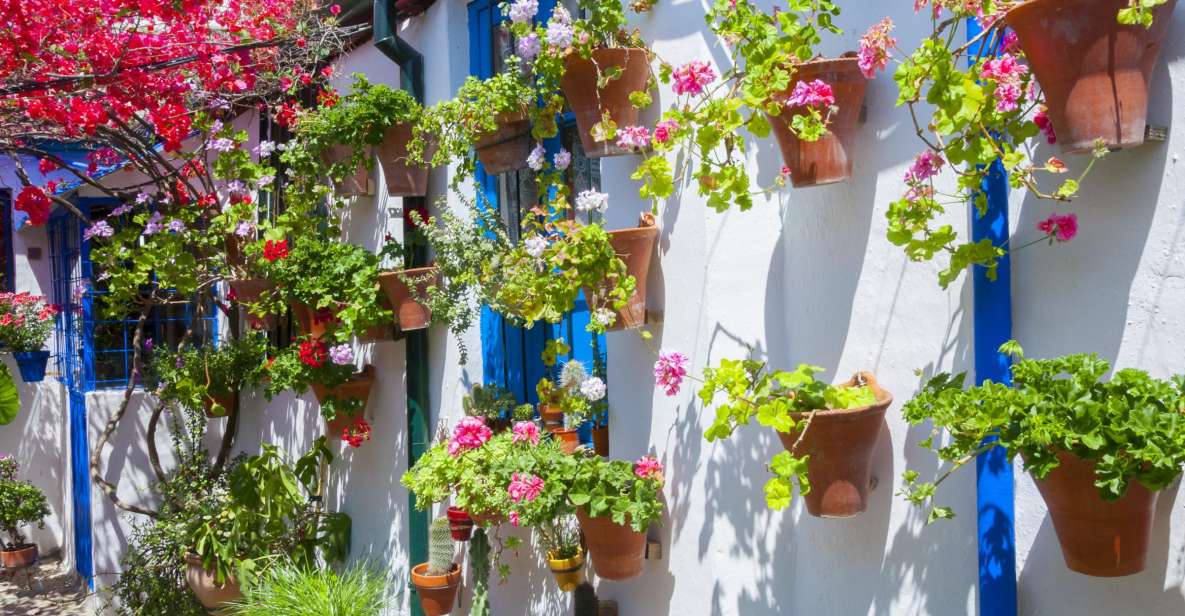 Cordoba's Authentic Patios: 2-Hour Tour With Tickets - Booking Information