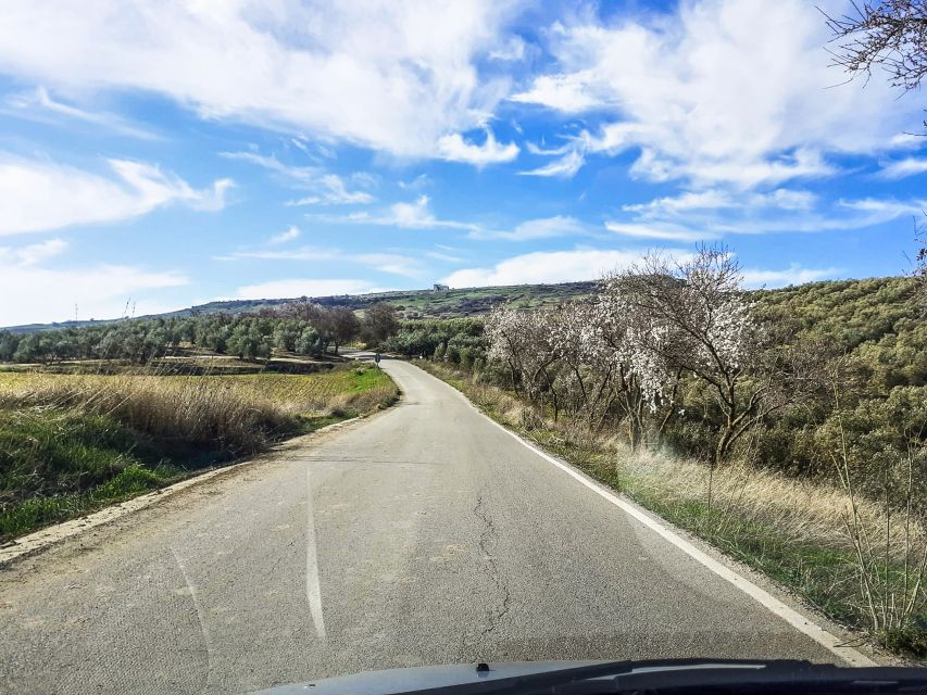 Costa Del Sol and Malaga: Ronda and Setenil De Las Bodegas - Activity Description