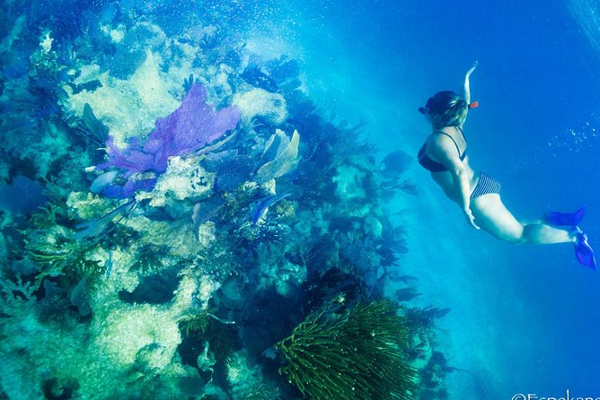 Costa Maya Shallow Reef Snorkeling Tour - Booking and Cancellation Policy