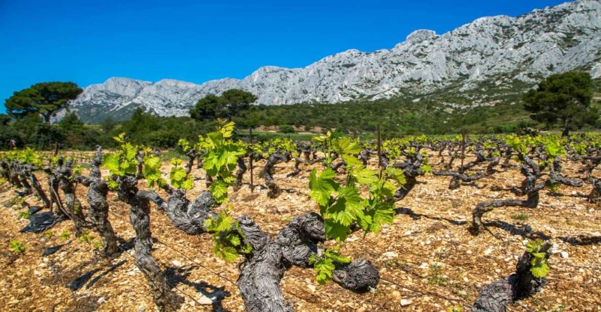 Coteaux D'aix: Ste Victoire Wine Tour & Cezanne Mill Visit - Reservation Flexibility