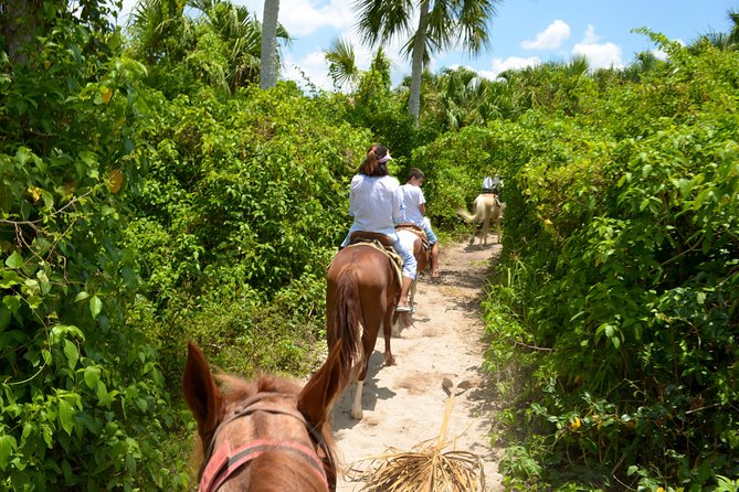 Cozumel Beach Horseback Riding Tour - Experience