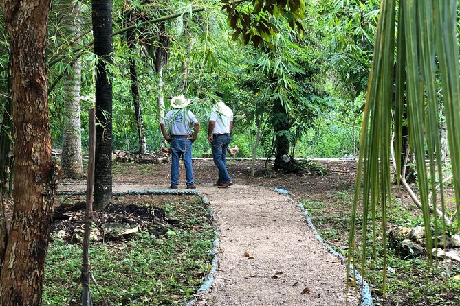 Cozumel Farm To Table Experience!!! - Common questions