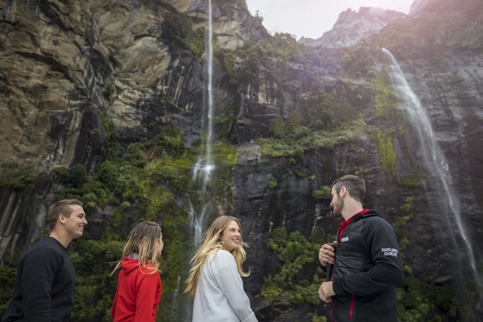 Cruise & Kayak Milford Sound - Activity Highlights