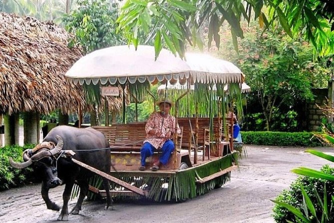 Cruise Shore Excursion of Villa Escudero With Lunch - Inclusions and Exclusions