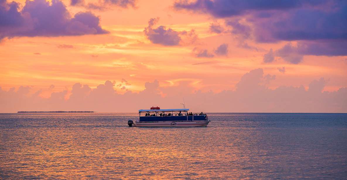 Crystal River: Kings Bay Manatee Sunset Cruise - Experience Highlights on the Cruise