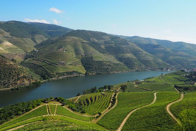 Customized Douro Valley Experience - Private Mode - Seamless Hotel Pickup and Drop-off