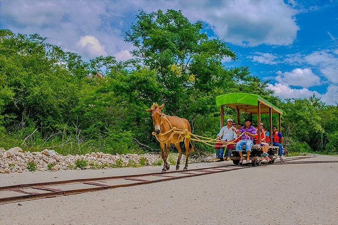 Cuzama Cenotes Adventure Day Trip - Visitor Experiences