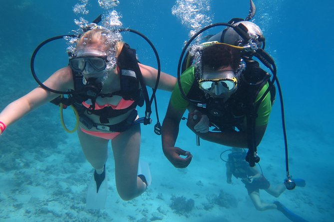 Daily 2 Dives With Equipment From Hurghada - Equipment and Boat Ratings