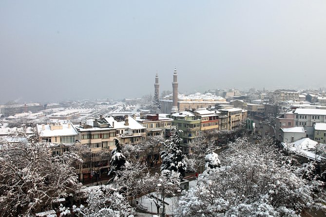 Daily Bursa City Tour by Private Minivan (Day Trip From Istanbul) - Pricing and Policies