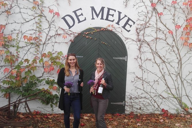 Daily Different Small Group WINE Tour - STELLENBOSCH PICKUP Only - Traveler Experience Feedback