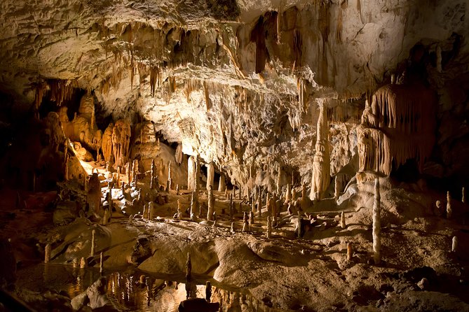 Daily Trip to Predjama Cave and Postojna Castle From Pula - Important Information