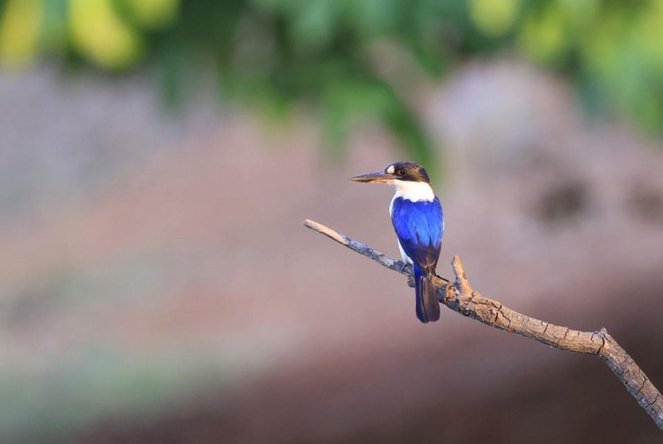 Darwin: Fogg Dam Wetlands Sunset & Humpty Doo Hotel Tour - Highlights