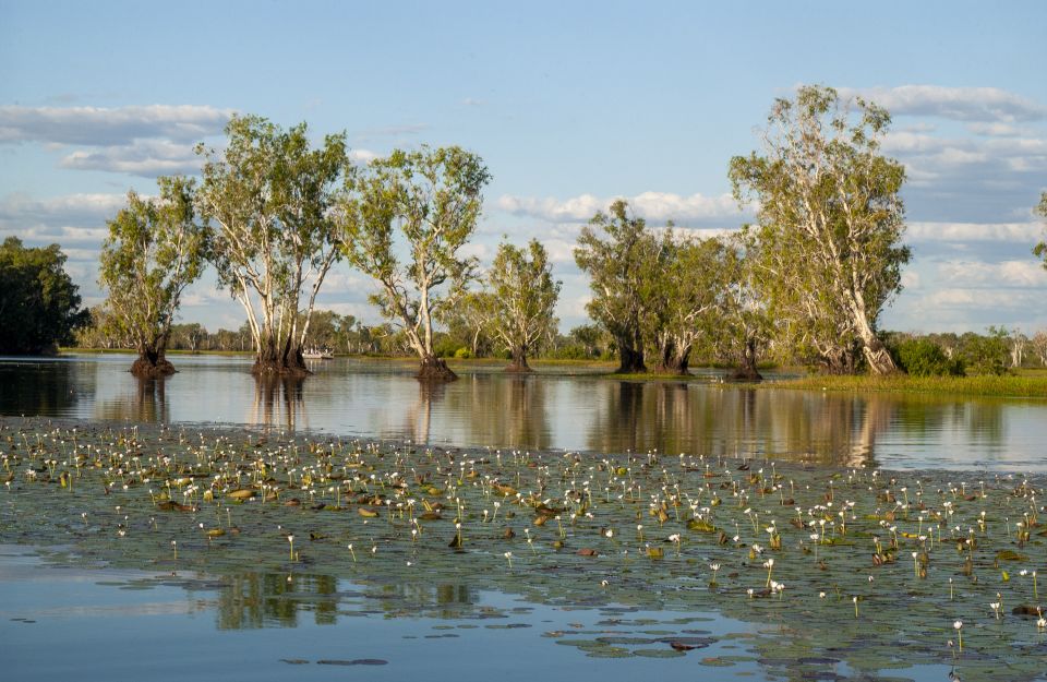 Darwin: Kakadu National Park Day Trip - Wet Season Itinerary