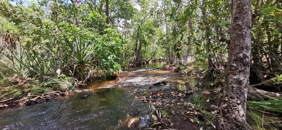 Darwin: Litchfield National Park and Berry Springs Day Tour - Tour Description