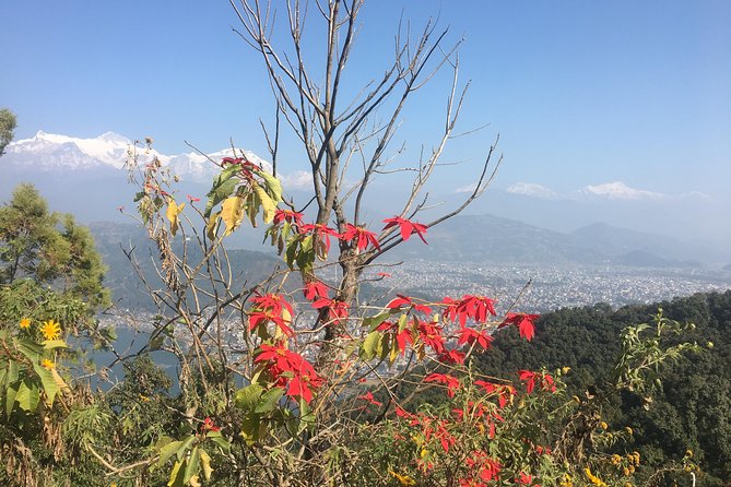 Day Hiking From Sarangkot to World Peace Pagoda From Pokhara - World Peace Pagoda: Destination Highlight