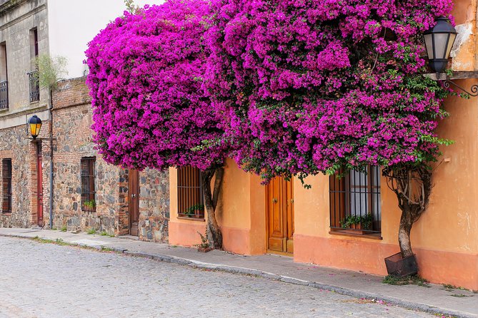 Day Tour in Colonia Del Sacramento - Uruguay - Key Points