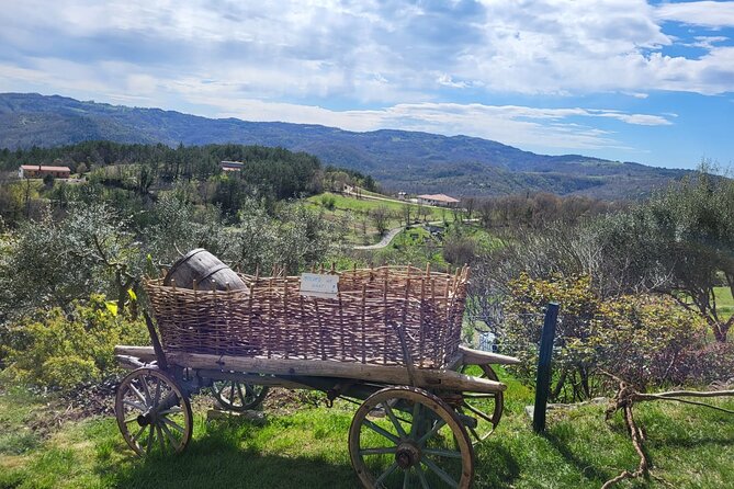 Day Trip on Saturday: HUM and MOTOVUN - Local Cuisine