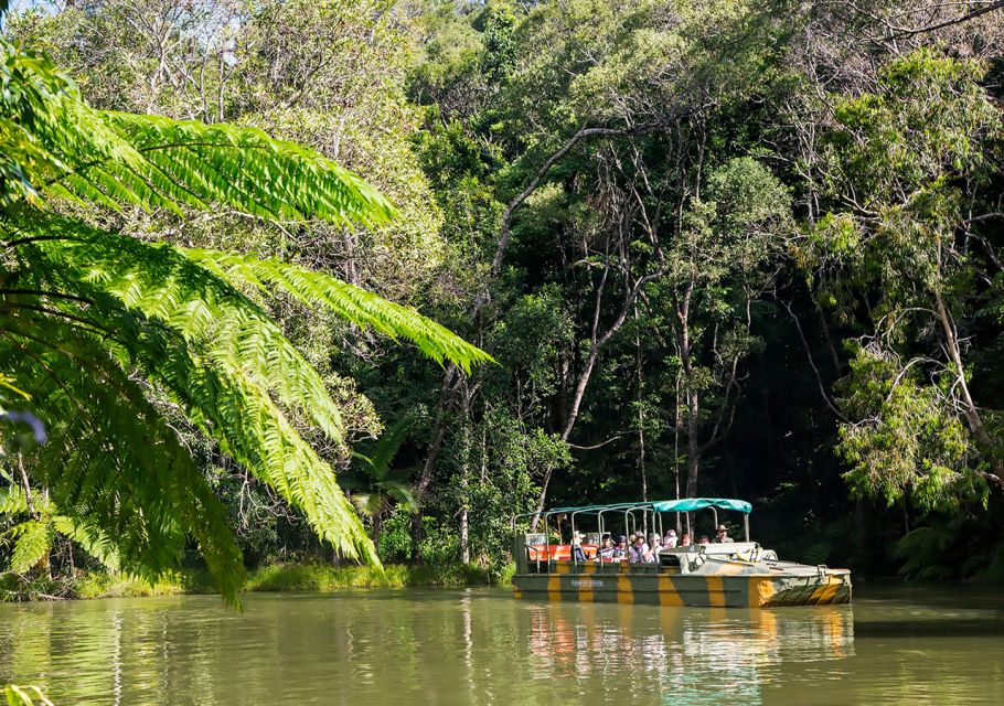 Day Trip: Rainforest & Aboriginal Culture Tour - Tour Experience