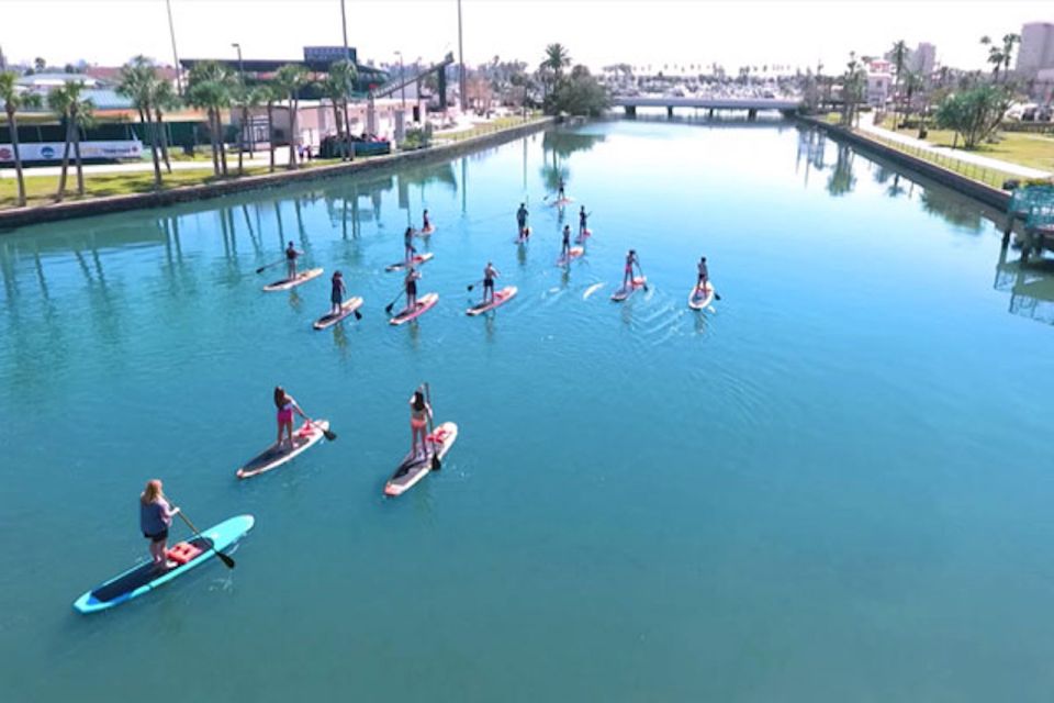 Daytona Beach: Guided Kayaking or Standup Paddling Tour - Experience Highlights