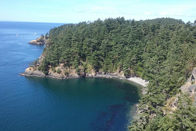 Deception Pass Bridge Island Tour From Seattle - Group Size and Personalization