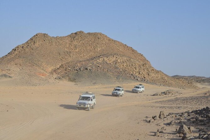 Desert Quad, Jeep, Camel and Buggy Safari With BBQ Dinner - Reviews and Ratings Overview