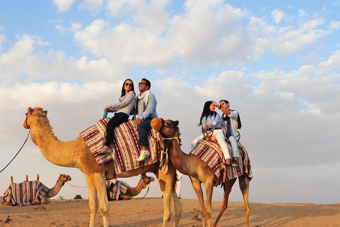 Desert Safari Dubai With BBQ Dinner & Live Shows - Reviews and Ratings Analysis