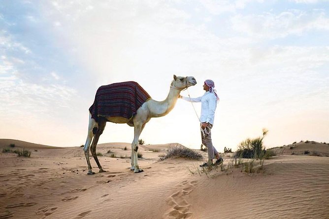 Desert Safari From Sharjah - Traveler Reviews and Ratings