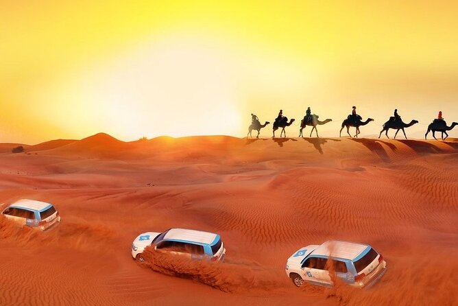 Desert Safari Full-Day Tour in Dubai - Review Sources and Authenticity