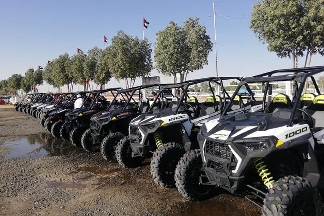 Desert Safari With Dune Buggy Tour Package in Dubai - Reviews